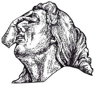 Иллюстрация к книге — Мозаика из крупы и семян [i_006.jpg]