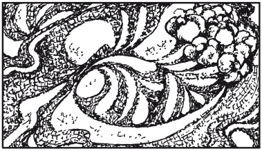 Иллюстрация к книге — Мозаика из крупы и семян [i_010.jpg]