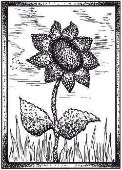 Иллюстрация к книге — Мозаика из крупы и семян [i_021.jpg]