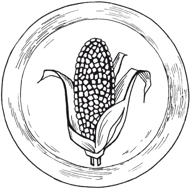 Иллюстрация к книге — Мозаика из крупы и семян [i_024.jpg]