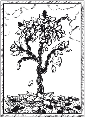 Иллюстрация к книге — Мозаика из крупы и семян [i_026.jpg]