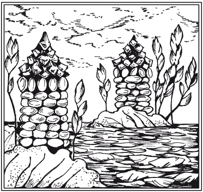 Иллюстрация к книге — Мозаика из крупы и семян [i_033.jpg]