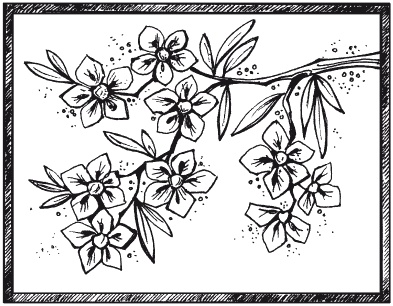 Иллюстрация к книге — Мозаика из крупы и семян [i_036.jpg]