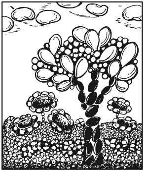 Иллюстрация к книге — Мозаика из крупы и семян [i_040.jpg]