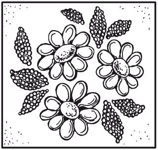 Иллюстрация к книге — Мозаика из крупы и семян [i_053.jpg]