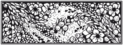 Иллюстрация к книге — Мозаика из крупы и семян [i_063.jpg]