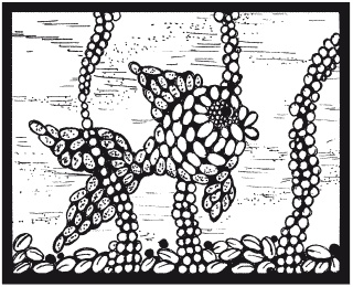 Иллюстрация к книге — Мозаика из крупы и семян [i_066.jpg]