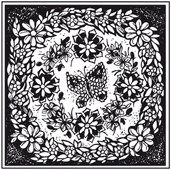 Иллюстрация к книге — Мозаика из крупы и семян [i_067.jpg]