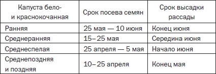 Иллюстрация к книге — Всё о семенах овощных культур [i_011.jpg]