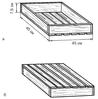 Иллюстрация к книге — Всё о семенах овощных культур [i_028.jpg]