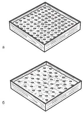 Иллюстрация к книге — Всё о семенах овощных культур [i_032.jpg]