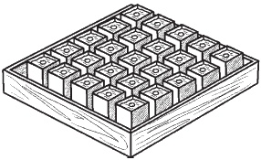 Иллюстрация к книге — Всё о семенах овощных культур [i_033.jpg]