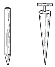 Иллюстрация к книге — Всё о семенах овощных культур [i_036.jpg]