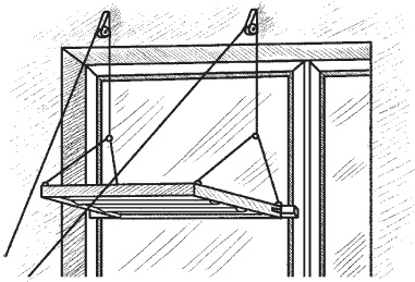 Иллюстрация к книге — Всё о семенах овощных культур [i_044.jpg]