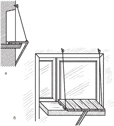 Иллюстрация к книге — Всё о семенах овощных культур [i_045.jpg]