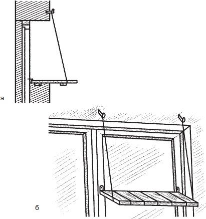 Иллюстрация к книге — Всё о семенах овощных культур [i_046.jpg]