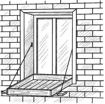 Иллюстрация к книге — Всё о семенах овощных культур [i_048.jpg]