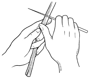 Иллюстрация к книге — Прививка плодовых деревьев: распространенные ошибки и секреты успешной прививки [i_034.jpg]