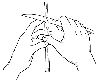 Иллюстрация к книге — Прививка плодовых деревьев: распространенные ошибки и секреты успешной прививки [i_035.jpg]