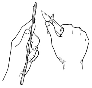 Иллюстрация к книге — Прививка плодовых деревьев: распространенные ошибки и секреты успешной прививки [i_038.jpg]