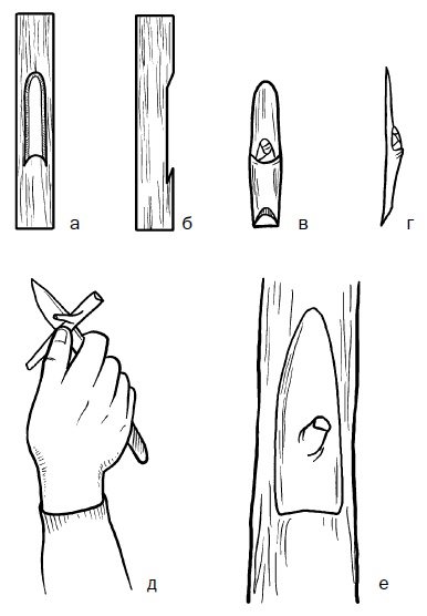 Иллюстрация к книге — Прививка плодовых деревьев: распространенные ошибки и секреты успешной прививки [i_045.jpg]
