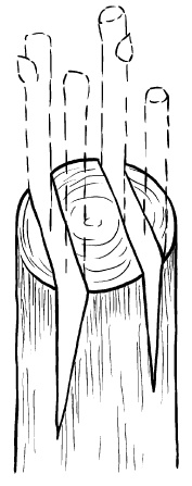 Иллюстрация к книге — Прививка плодовых деревьев: распространенные ошибки и секреты успешной прививки [i_056.jpg]