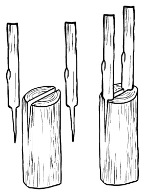 Иллюстрация к книге — Прививка плодовых деревьев: распространенные ошибки и секреты успешной прививки [i_057.jpg]