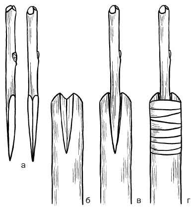 Иллюстрация к книге — Прививка плодовых деревьев: распространенные ошибки и секреты успешной прививки [i_070.jpg]