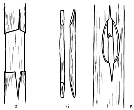 Иллюстрация к книге — Прививка плодовых деревьев: распространенные ошибки и секреты успешной прививки [i_075.jpg]
