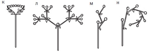 Иллюстрация к книге — Комнатные деревья и кустарники: лимон, вишня, гранат, можжевельник, акация, жасмин и многие другие [i_034.jpg]