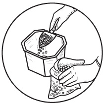 Иллюстрация к книге — Комнатные деревья и кустарники: лимон, вишня, гранат, можжевельник, акация, жасмин и многие другие [i_050.jpg]