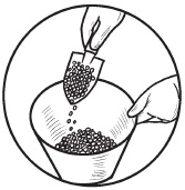 Иллюстрация к книге — Комнатные деревья и кустарники: лимон, вишня, гранат, можжевельник, акация, жасмин и многие другие [i_057.jpg]