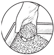 Иллюстрация к книге — Комнатные деревья и кустарники: лимон, вишня, гранат, можжевельник, акация, жасмин и многие другие [i_069.jpg]