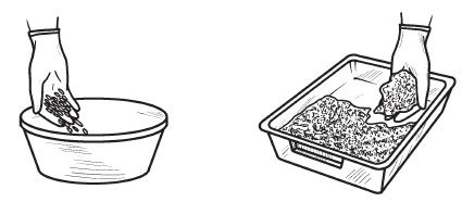 Иллюстрация к книге — Комнатные деревья и кустарники: лимон, вишня, гранат, можжевельник, акация, жасмин и многие другие [i_104.jpg]