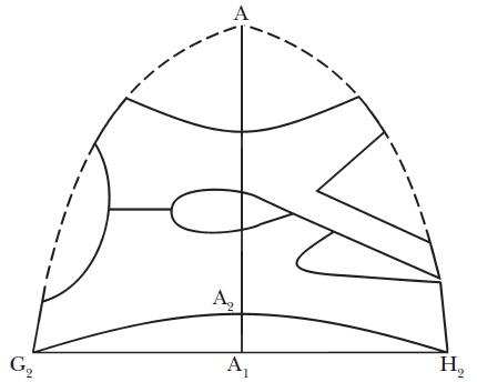 Иллюстрация к книге — Домашние тапочки ручной работы [i_032.jpg]