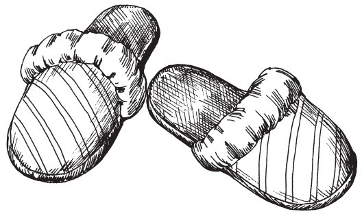 Иллюстрация к книге — Домашние тапочки ручной работы [i_041.jpg]