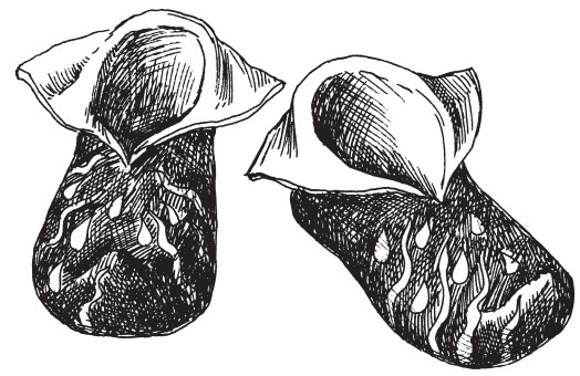 Иллюстрация к книге — Домашние тапочки ручной работы [i_094.jpg]