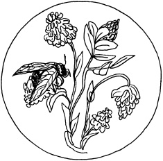 Иллюстрация к книге — Выжигание по дереву [_17.jpg]