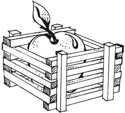 Иллюстрация к книге — Удивительные поделки из спичек [i_020.jpg]