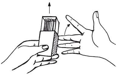 Иллюстрация к книге — Удивительные поделки из спичек [i_113.jpg]