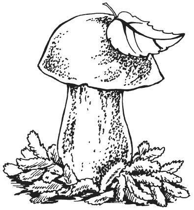 Иллюстрация к книге — Поделки из папье-маше [i_035.jpg]