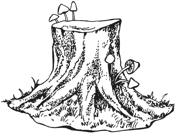 Иллюстрация к книге — Поделки из папье-маше [i_037.jpg]