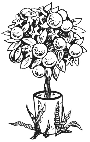 Иллюстрация к книге — Поделки из папье-маше [i_039.jpg]