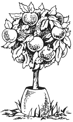 Иллюстрация к книге — Поделки из папье-маше [i_041.jpg]