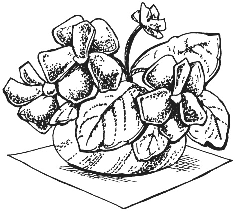 Иллюстрация к книге — Поделки из папье-маше [i_047.jpg]