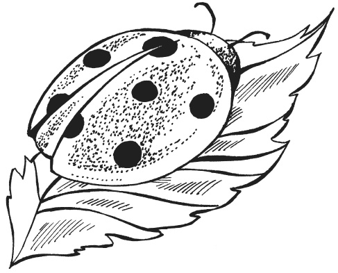 Иллюстрация к книге — Поделки из папье-маше [i_067.jpg]