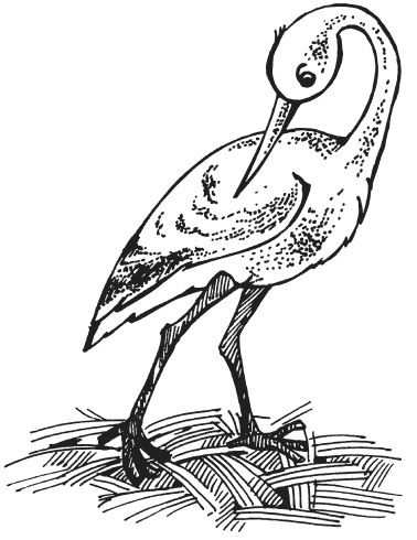 Иллюстрация к книге — Поделки из папье-маше [i_073.jpg]