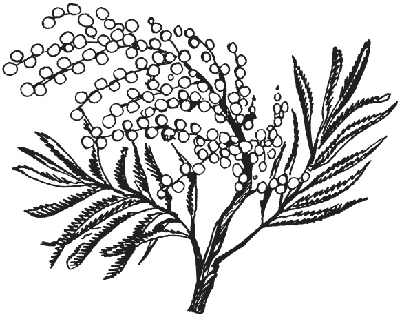 Иллюстрация к книге — Поделки из папье-маше [i_097.jpg]