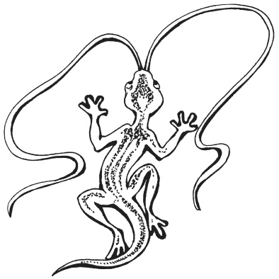 Иллюстрация к книге — Поделки из папье-маше [i_119.jpg]