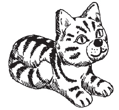 Иллюстрация к книге — Поделки для мальчиков [i_080.jpg]